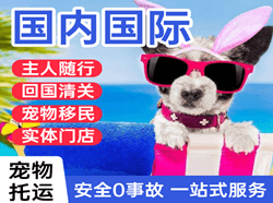 六盘水月照航空货运国际宠物托运 【国